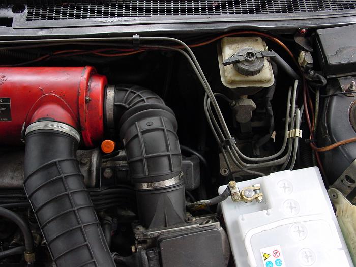 205 GTi (5)